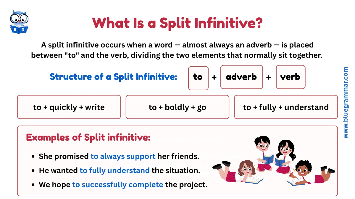 Split Infinitives in English Grammar: Definition, Rules, & Usage