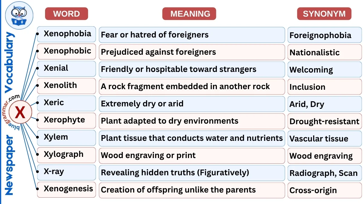 Newspaper Vocabulary Words starting with Alphabet X