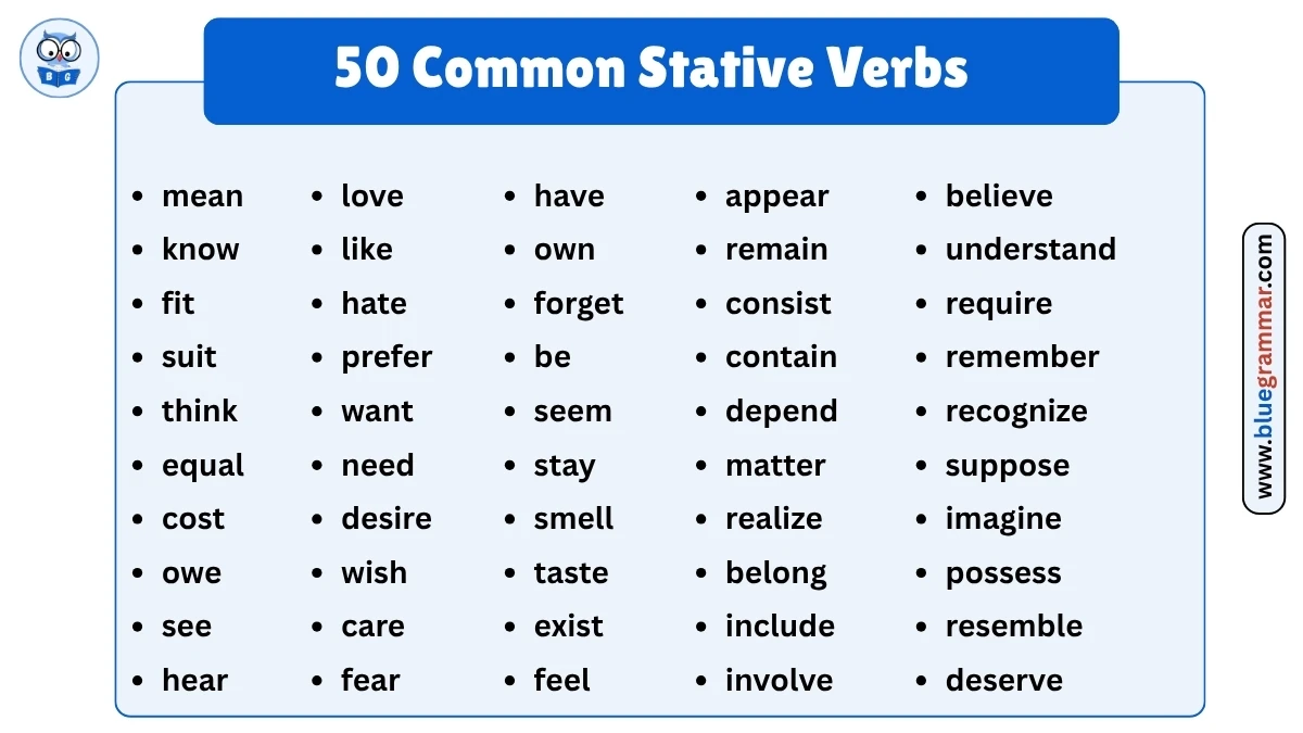 50 Common Stative Verbs List and Infographic