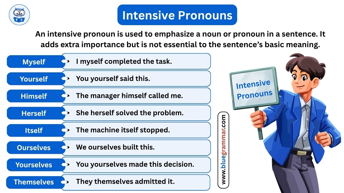 Intensive Pronoun Example and Usage