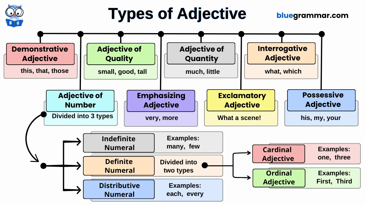 types of adjectives