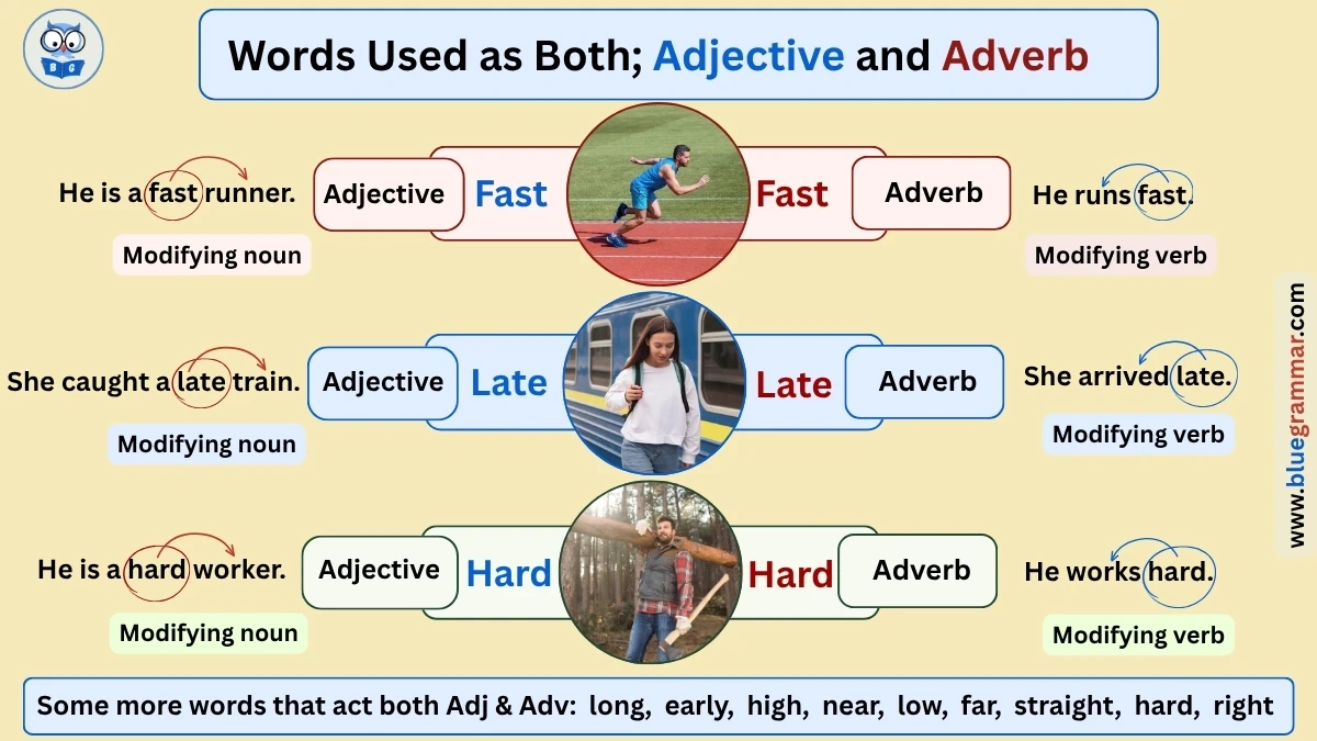 Words Used As Both Adjective and Adverb List and Visual Chart