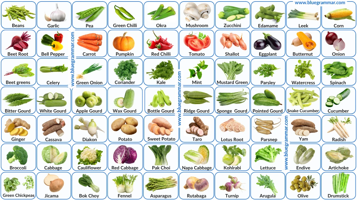 Vegetable Names in English with Images