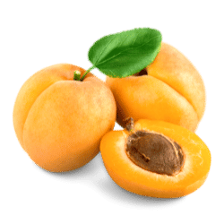 Apricot