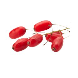 Barberry