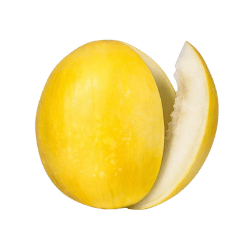 Canary Melon