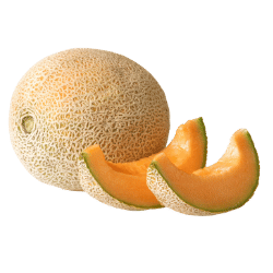 Cantaloupe
