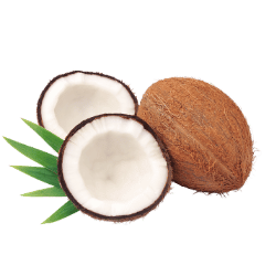 Coconut