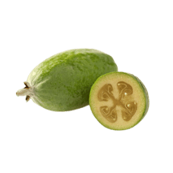 Feijoa