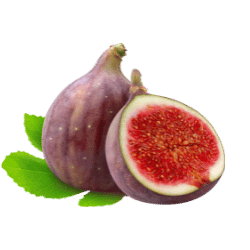 Fig