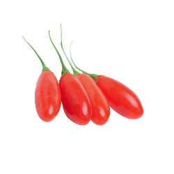 Goji Berry
