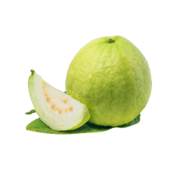 Guava