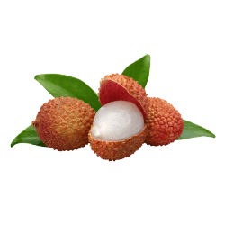 Lychee
