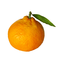Mandarin