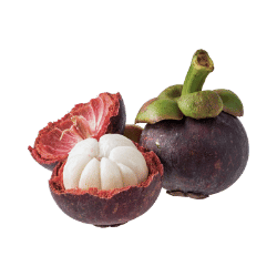 Mangosteen