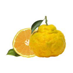 Ugli Fruit