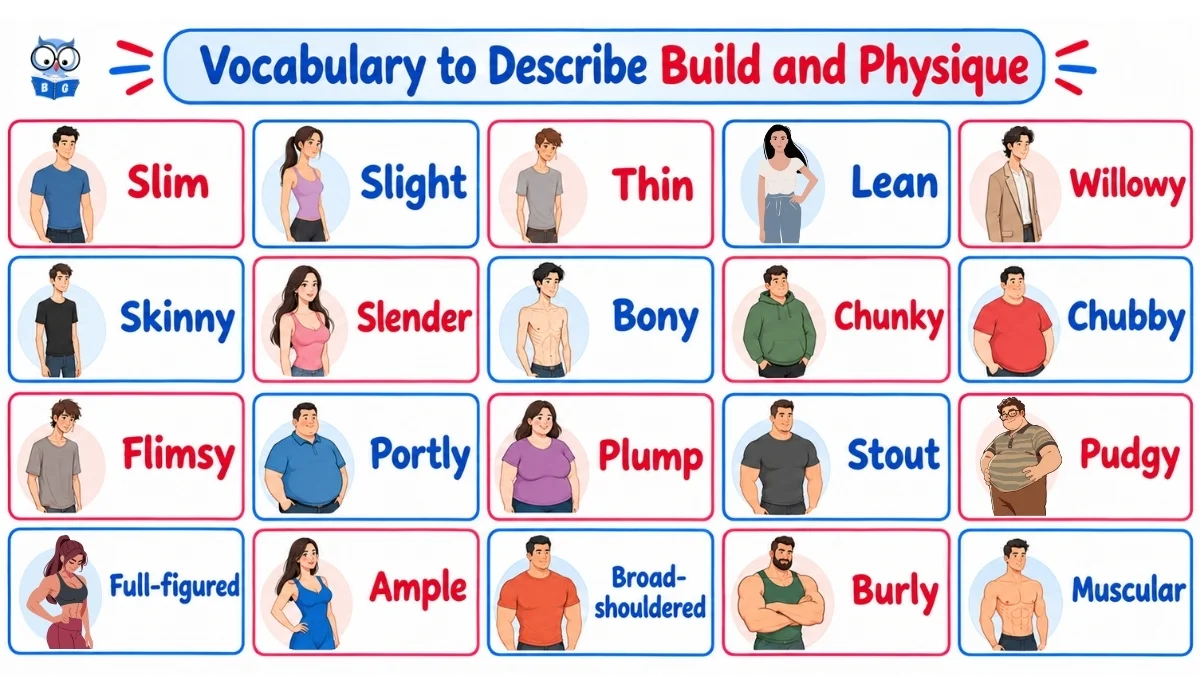 How to Describe Builds and Physique in English?
