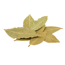 Bay Leaf