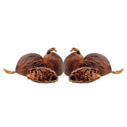 Black Cardamom