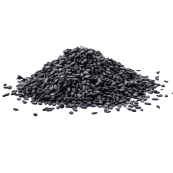 Black Sesame