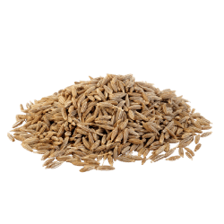 Cumin Seeds