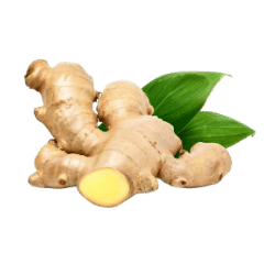 Ginger