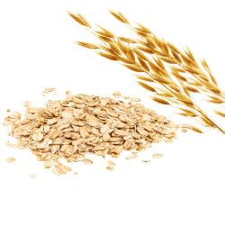 Oat