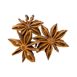 Star Anise