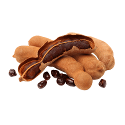 Tamarind