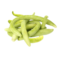 American Cucumber
