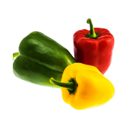 Bell Pepper