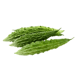 Bitter Gourd