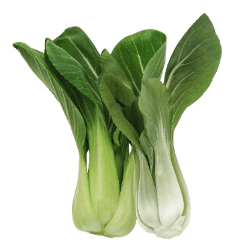 Bok Choy