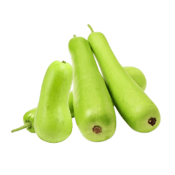 Bottle Gourd