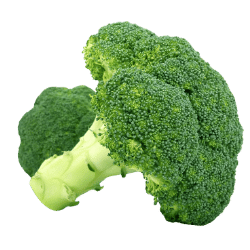 Broccoli