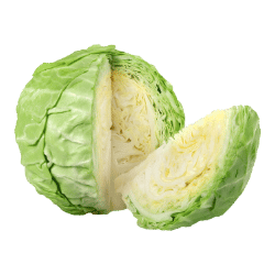 Cabbage