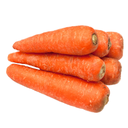 Carrot