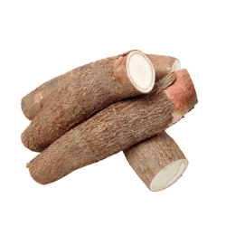 Cassava