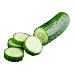 Cucumber