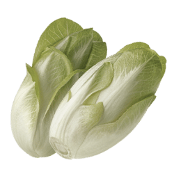Endive