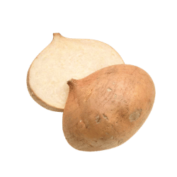 Jicama