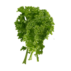 Kale