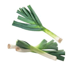 Leek