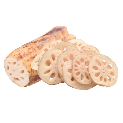 Lotus Root