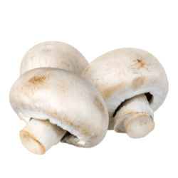 Mushrooms