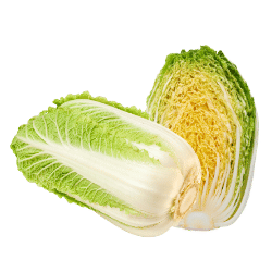 Napa Cabbage