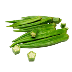 Okra