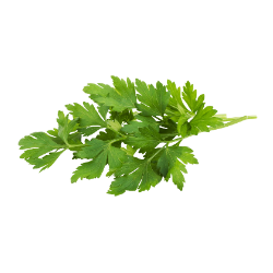 Parsley