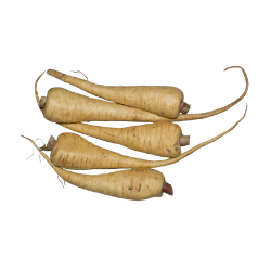 Parsnip