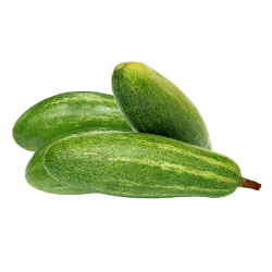 Pointed Gourd